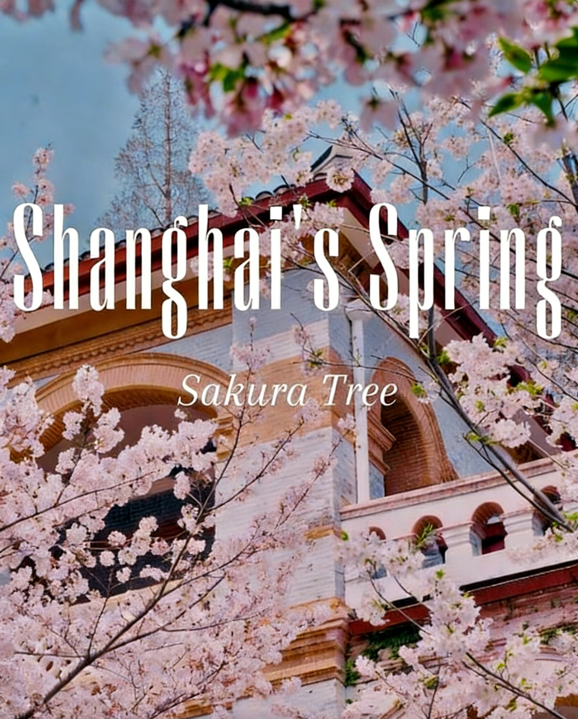 Shanghai's Spring