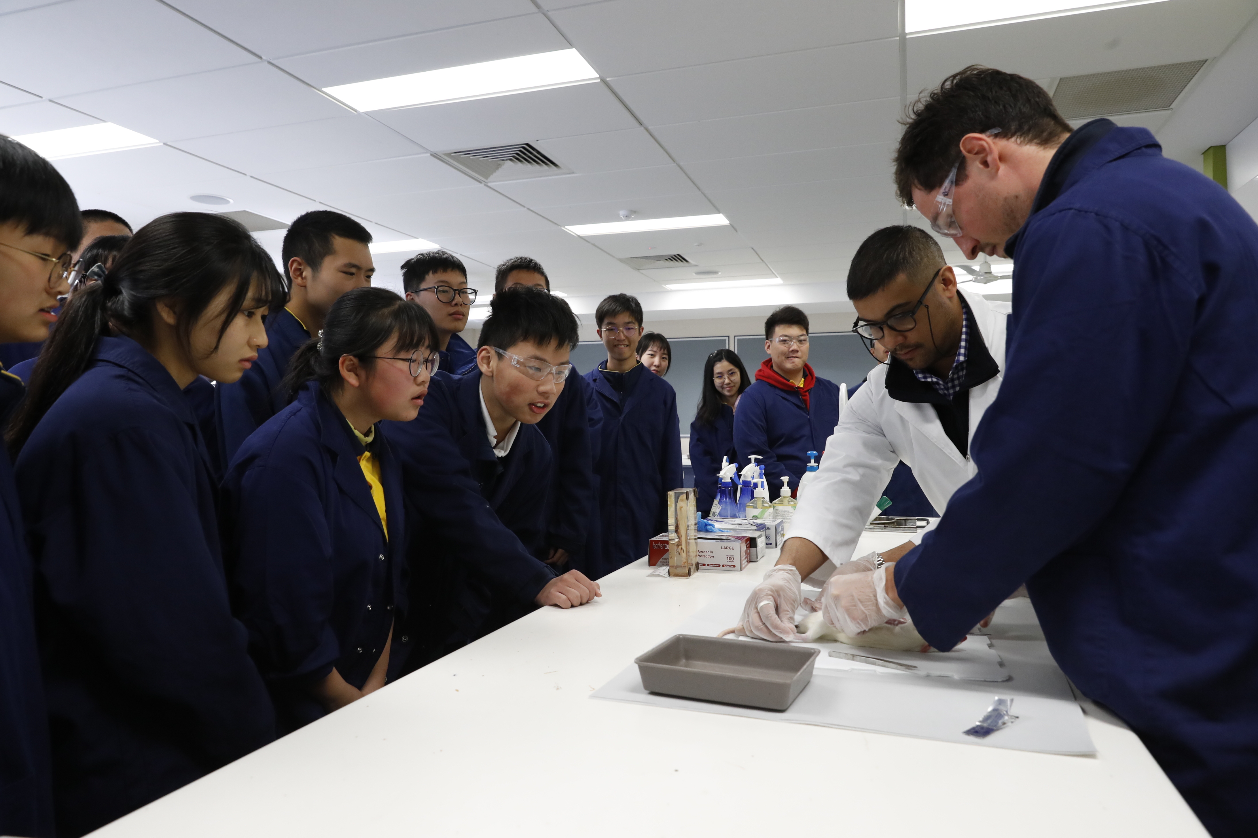 Bridging Cultures Through Music: Ten Years of Sustained Sino-Australian Educational and Youth Exchanges