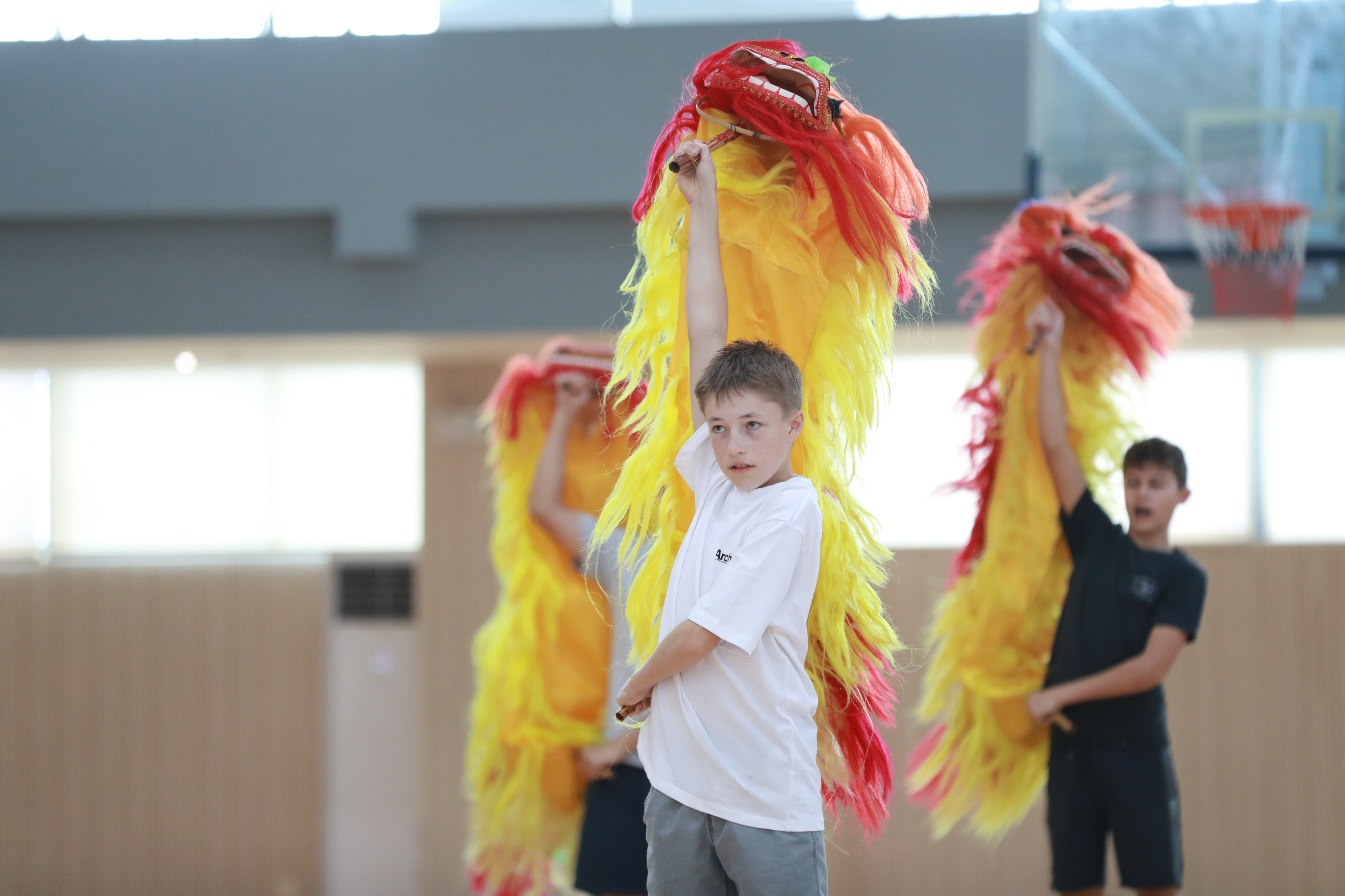 Bridging Cultures Through Music: Ten Years of Sustained Sino-Australian Educational and Youth Exchanges