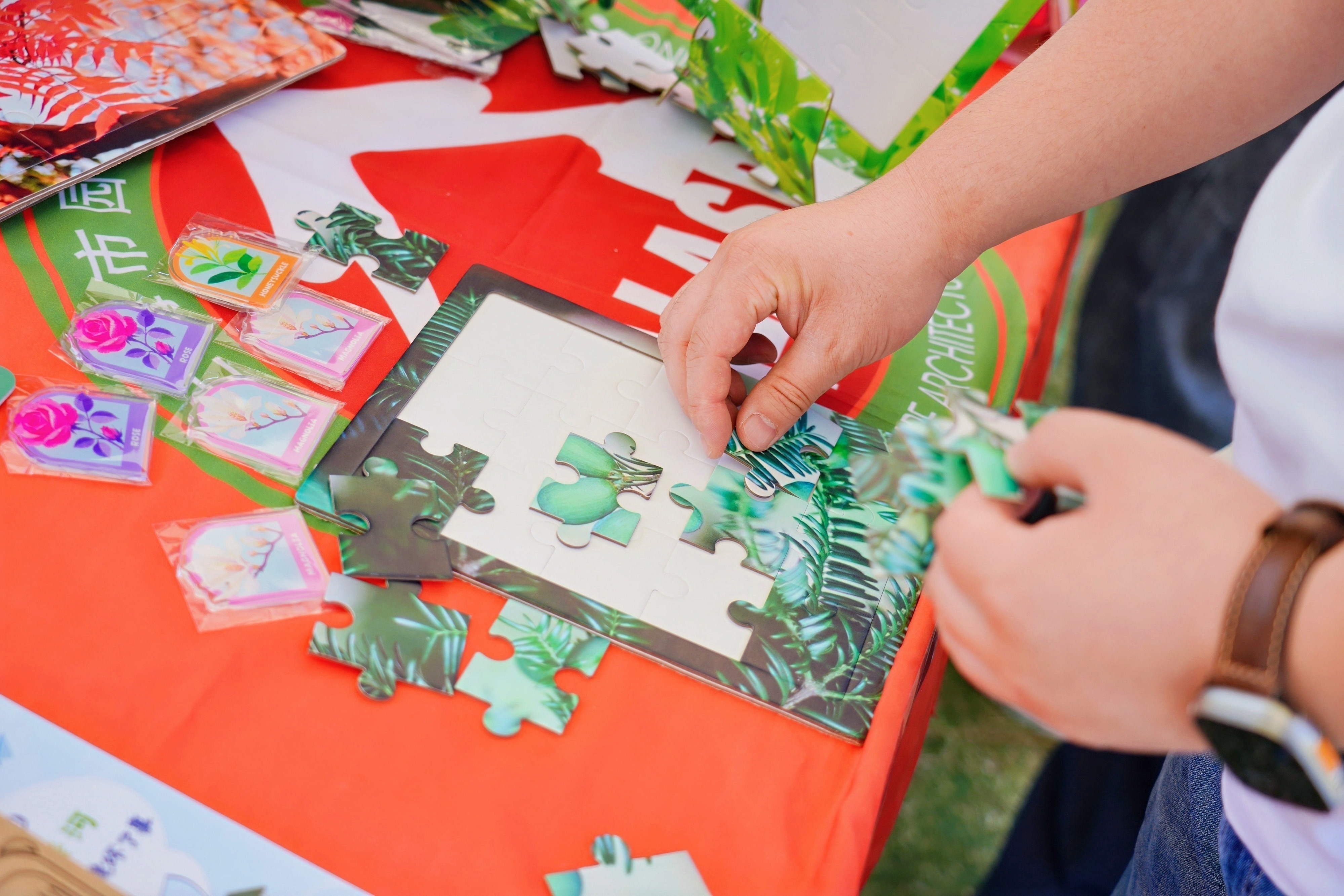 City Science Exploration Routes Unveiled at Nature Conservation Festival